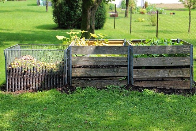 Worm Composting Is a Fine Example of Upcycling