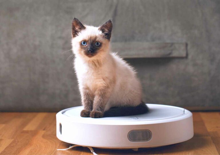 Best Reasons Why Every Cat Owner Should Buy a Roomba What Simply Works