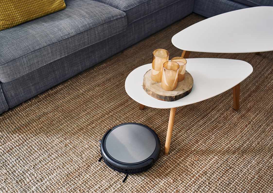 Why Every Cat Owner Should Buy a Roomba