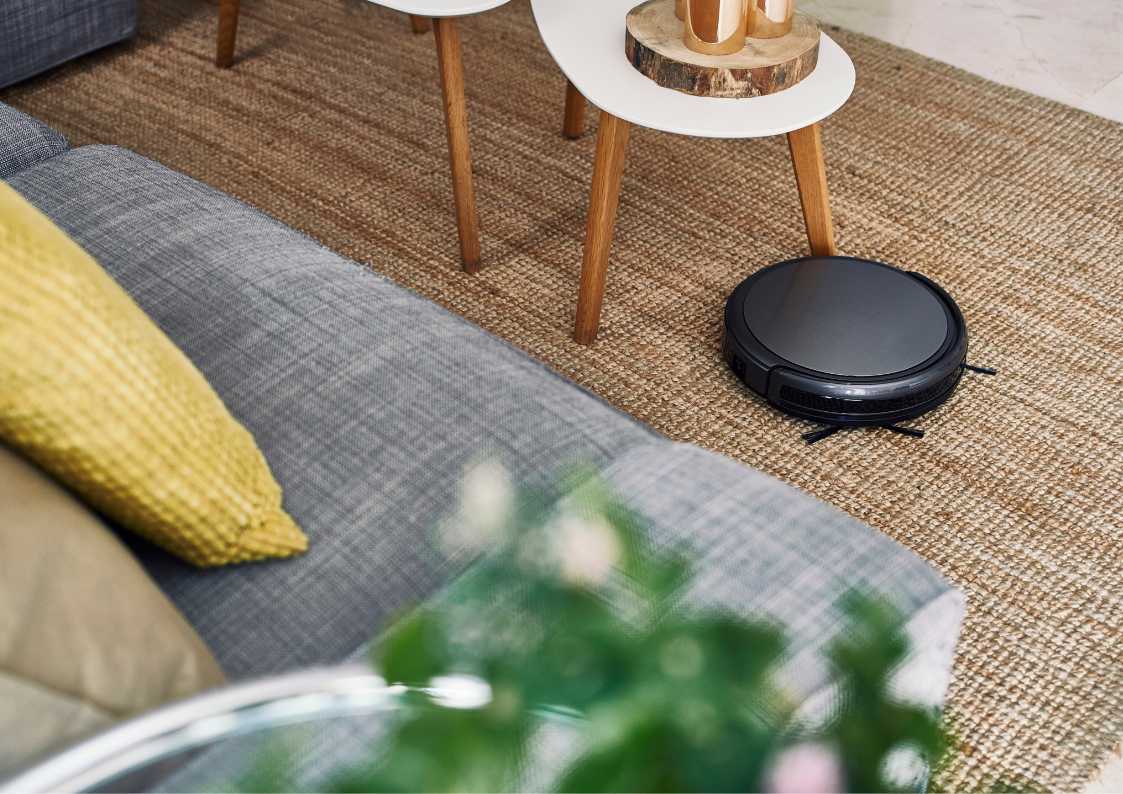 Best Reasons Why Every Cat Owner Should Buy a Roomba